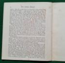 213 Toybook Crane Yellow Dwarf (11) x