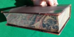 214 Bowman Boy Pilgrims (10) x