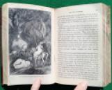 214 Bowman Boy Pilgrims (11) x