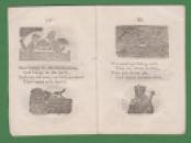 222 chapbook Cock Robin sc (6) x