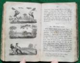 218 Rural Scenes (7) x