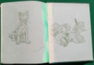 220 Cassells Annual 1911 (1) x