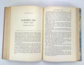 Fiesta in November; Stories from Latin America, edited by Angel Flores & Dudley Poore, Houghton Mifflin, 1942 IMG_4559