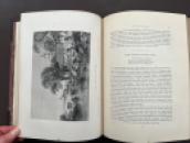 48196_12