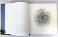 Acts of Light, Emily Dickinson, New York Graphic Society, Signed, numbered deluxe limited edition, 1980 IMG_5303