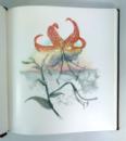 Acts of Light, Emily Dickinson, New York Graphic Society, Signed, numbered deluxe limited edition, 1980 IMG_5308