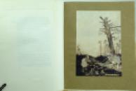 Alice's Adventures in Wonderland illustrated by Arthur Rackham Lewis Carroll (6)