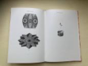 6 - p20 - Pics a