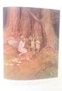 fairy sister #5