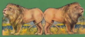 226 Shaped The Lion (2) x