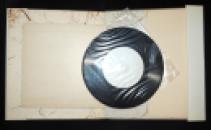 DSCN5279