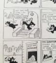244 Felix Annual basket of fish (12) x