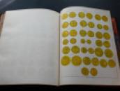 28 (4)