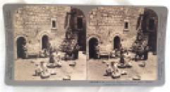 palestine stereoview #4