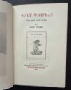 IMG_3231