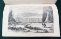 Mclintock.JPG 4