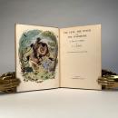 The Lion, The Witch & The Wardrobe - In Dust Jacket (8)