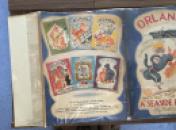 IMG_8439