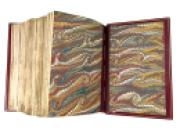 E.A.WallisBudge_AnEgyptianHieroglyphicDictionary-UniquePrinter_spre-publicationbookproof1916-1920IMG_6060smaller