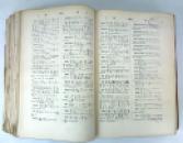 E.A. Wallis Budge; An Egyptian Hieroglyphic Dictionary - Unique Printer's pre-publication book proof 1916-1920 IMG_6044