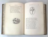 Q. Horatii Flacci Opera Illustrated from Antique Gems by C.W. King, Text by H.A.J. Munro, 1869. Prize binding attested by G. G. Ramsay IMG_7029