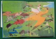 254 Baynes Victoria and the Golden Bird (13) x