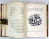 The Gamekeeper at Home; Sketches of Natural History and Rural Life, Richard Jefferies, 1880 IMG_8041