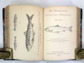 Odds and Ends; A Scottish Sammelband of Ten Works, including Bibliomania and the Stormontfield Piscicultural Experiments. Edmonston & Douglas, 1865-1867 IMG_8202