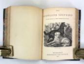 Odds and Ends; A Scottish Sammelband of Ten Works, including Bibliomania and the Stormontfield Piscicultural Experiments. Edmonston & Douglas, 1865-1867 IMG_8204
