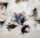Companion to Alfred Ronald's Fly Fisher's Entomology, with fishing flies, c. 1862 or later IMG_8091