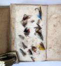 Companion to Alfred Ronald's Fly Fisher's Entomology, with fishing flies, c. 1862 or later IMG_8092