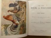poultry1