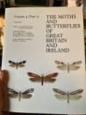 moths 4:2