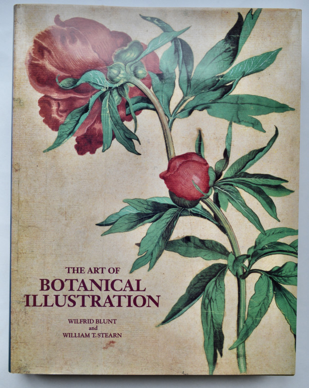 botanical illustration book pdf download