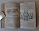 The Illustrated Exhibitor 19thC (3)