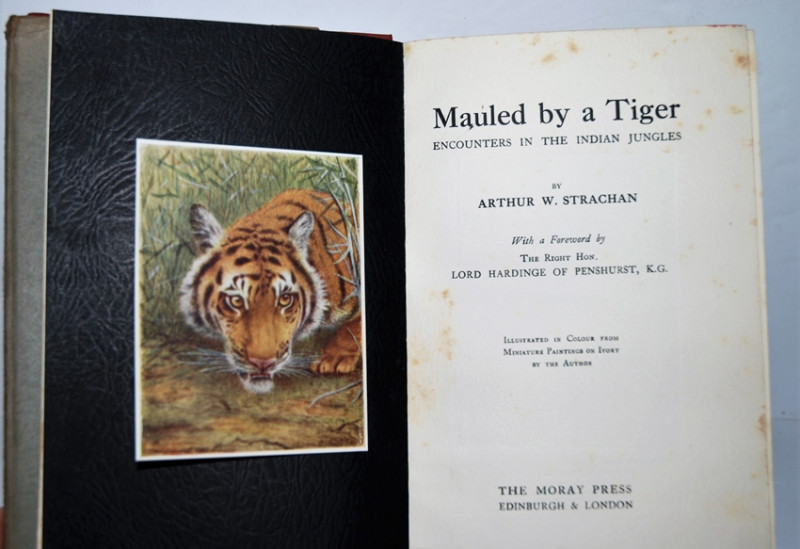 Mauled by a Tiger | Books | PBFA