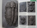 TRILOBITES of the BRITISH ISLES UK Fossils SIGNED by Author with 795 PHOTOGRAPHS (5)