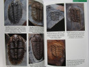 TRILOBITES of the BRITISH ISLES UK Fossils SIGNED by Author with 795 PHOTOGRAPHS (7)