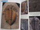 TRILOBITES of the BRITISH ISLES UK Fossils SIGNED by Author with 795 PHOTOGRAPHS (9)