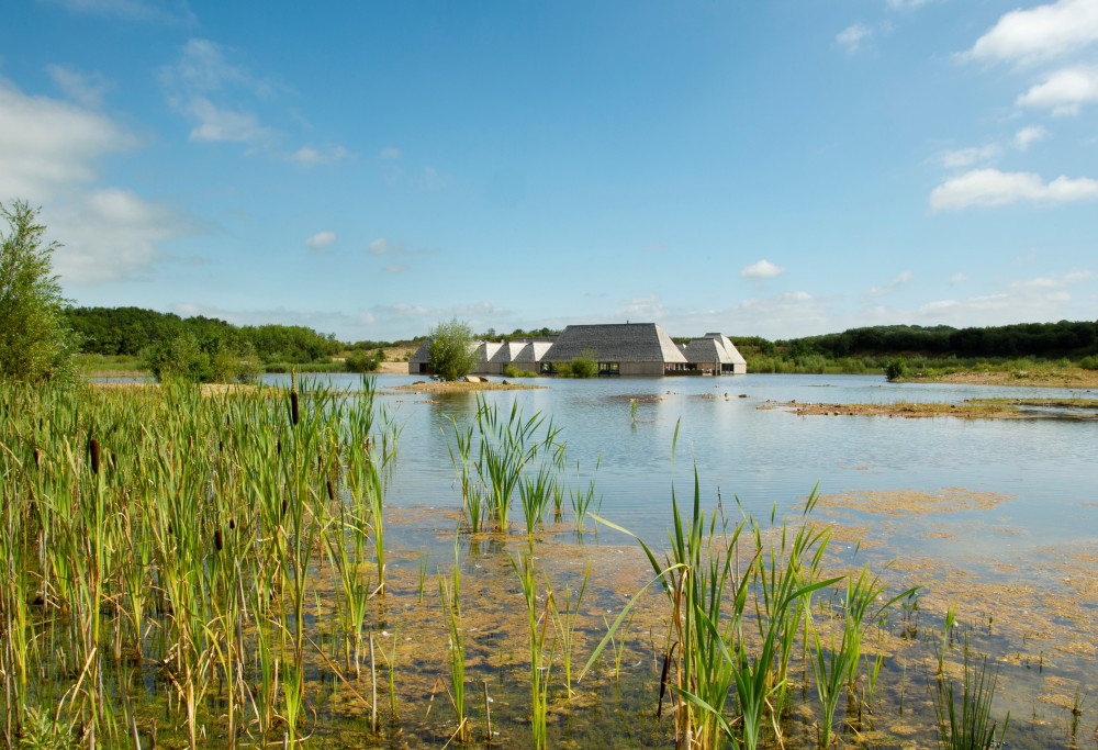 Brockholes - Les Price cropped 2